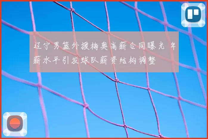 辽宁男篮外援梅奥高薪合同曝光 年薪水平引发球队薪资结构调整