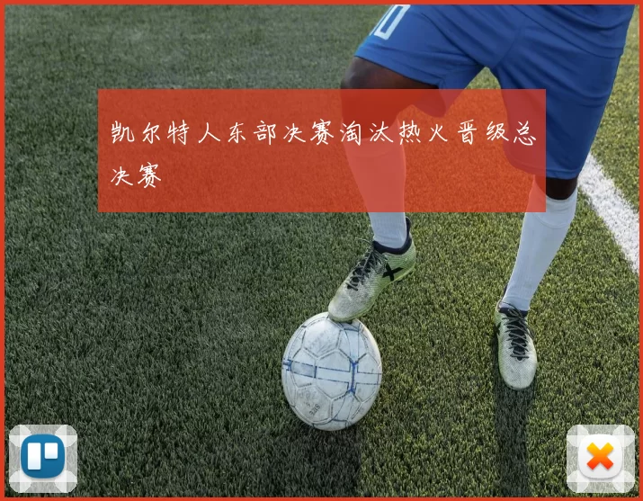 凯尔特人东部决赛淘汰热火晋级总决赛