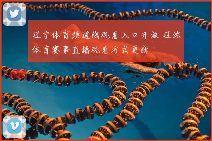 辽宁体育频道线观看入口开放 辽沈体育赛事直播观看方式更新