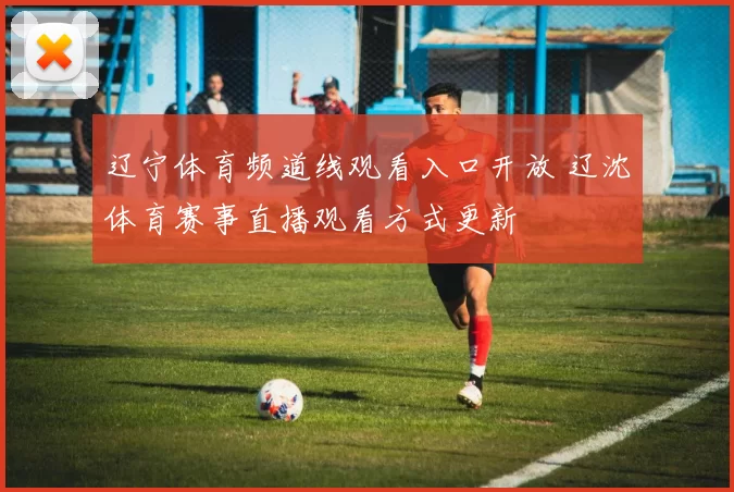 辽宁体育频道线观看入口开放 辽沈体育赛事直播观看方式更新