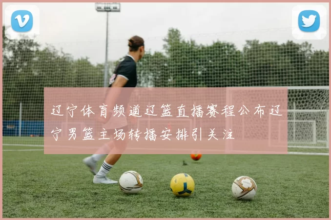 辽宁体育频道辽篮直播赛程公布辽宁男篮主场转播安排引关注